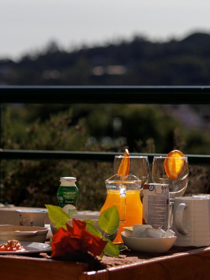 Palace Hotel E Spa Monte Rio Termas de Sao Pedro do Sul Eksteriør bilde